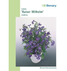 Benary Lobelie Kaiser Wilhelm, einjährig