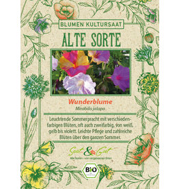 Saat & Gut BIO-Wunderblume