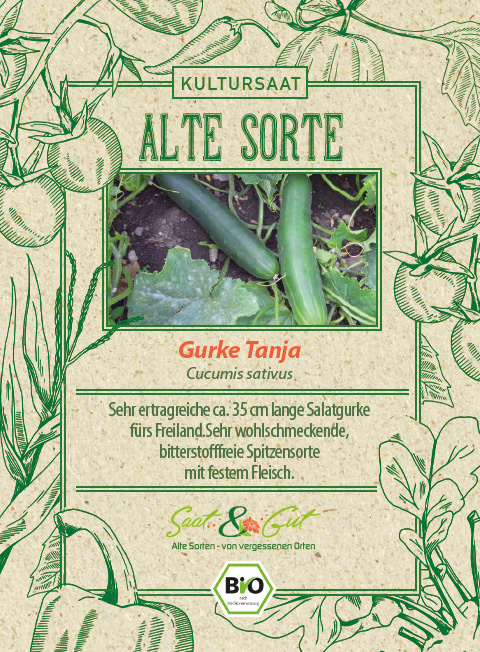 Saat & Gut BIO-Gurke Tanja