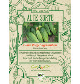 Saat & Gut BIO-Gurke Vorgebirgstrauben