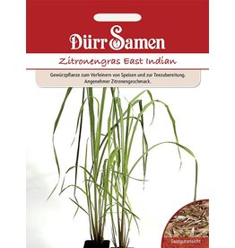 Dürr Samen Zitronengras  East Indian