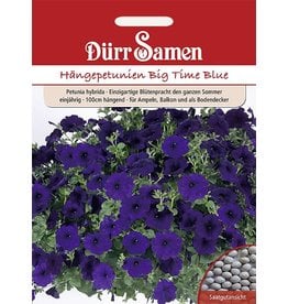 Dürr Samen Petunien  Big Time Blue, dunkelblau, einjährig, 100cm