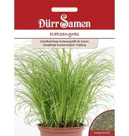 Dürr Samen Katzengras